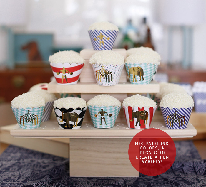 Cricut Cupcake Variety