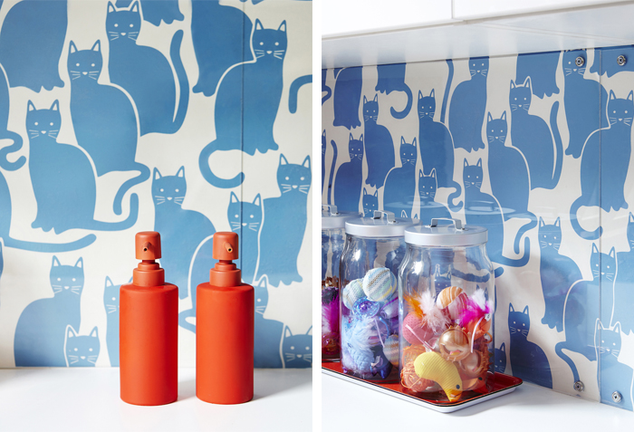 Cattery makeover