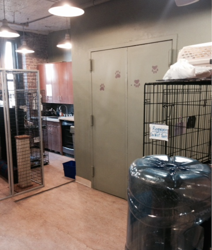 cattery-before-5