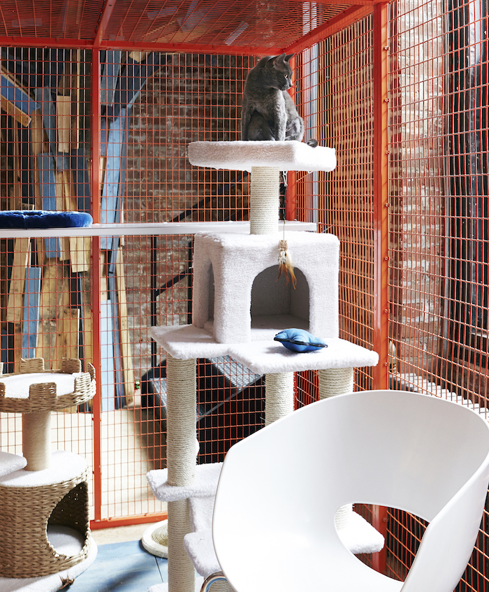 cattery-makeveover3