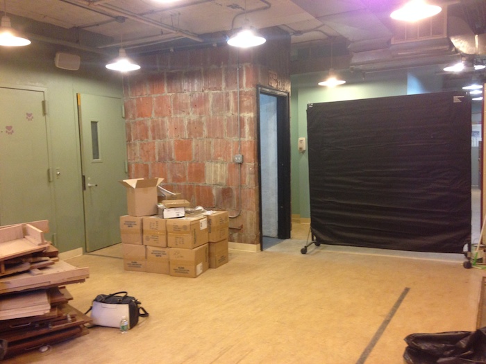 cattery progress 5