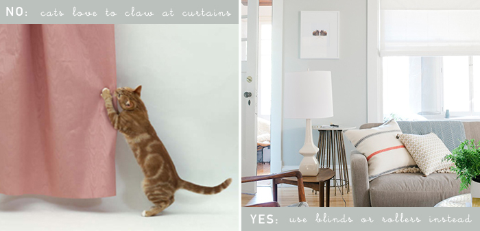 blinds vs rollers