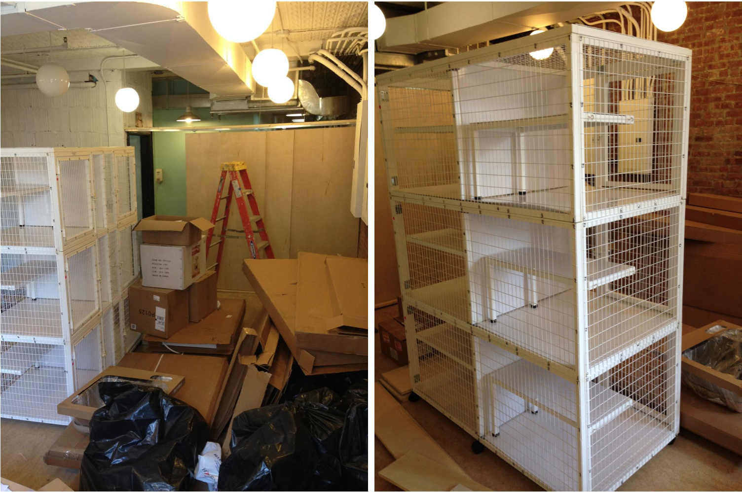 cattery progress door
