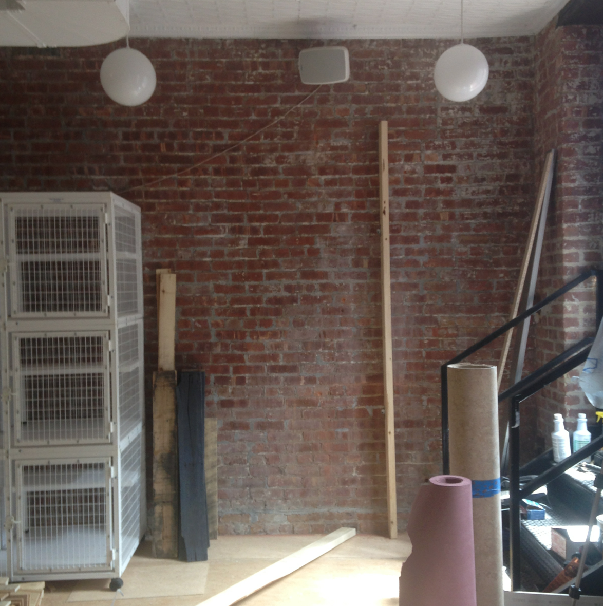 raw-brick-cattery