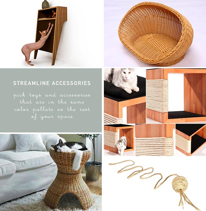 Cat Accessories