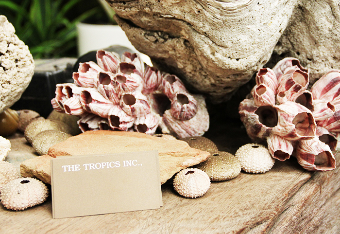 The Tropics Business card