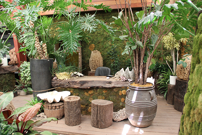 The Tropics Desk