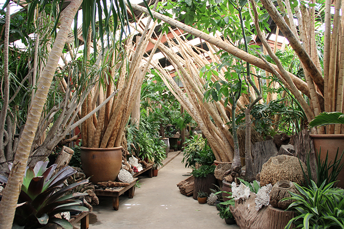 The Tropics Entry Area