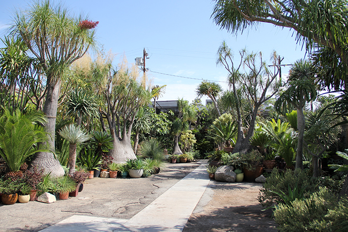 The Tropics Outdoor Area