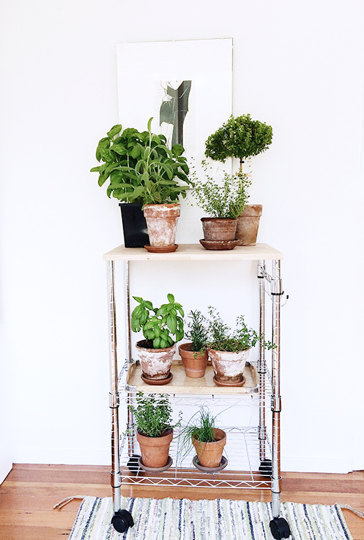 plantstand-1