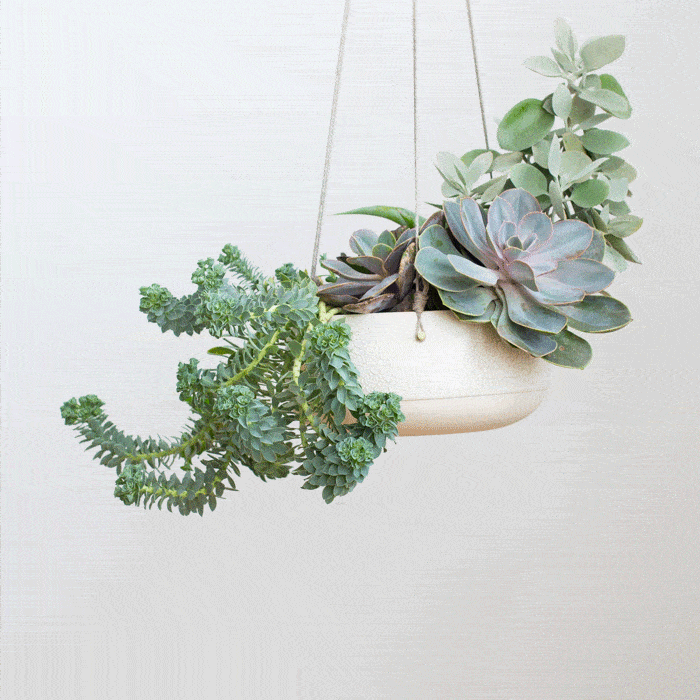 Styling_Hanging_Planter_GIf
