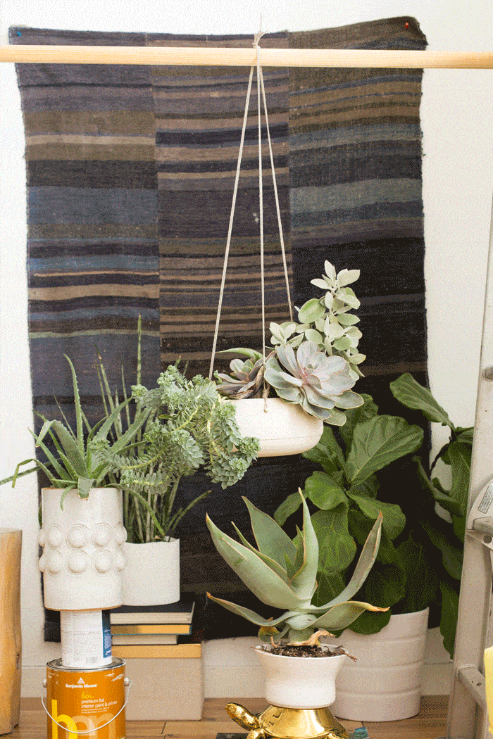 Styling_Planter_Process_GIF