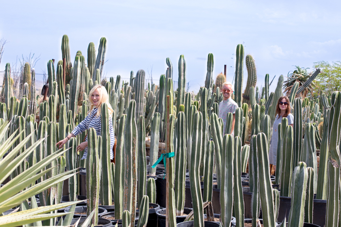 Em_Henderson_Cactus_Garden