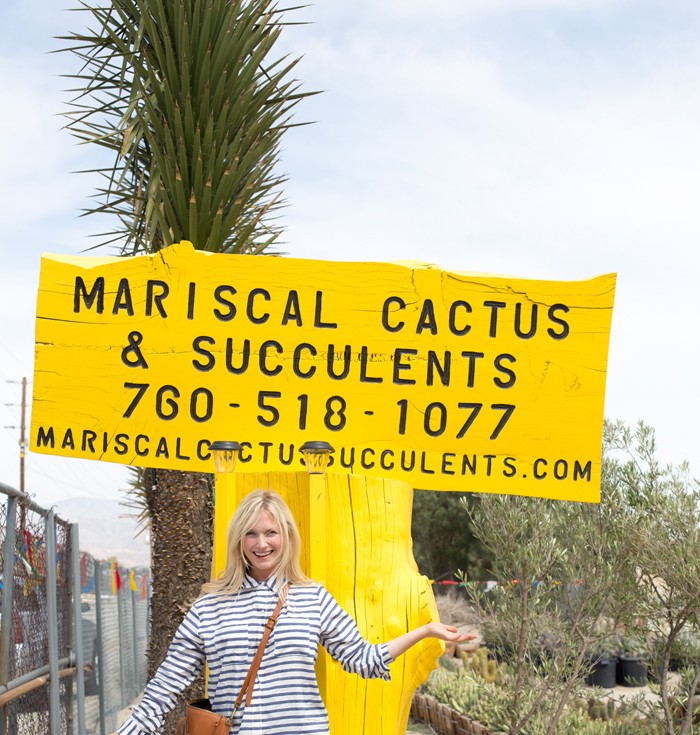 Emily_Henderson_Cactus_Farm_Desert
