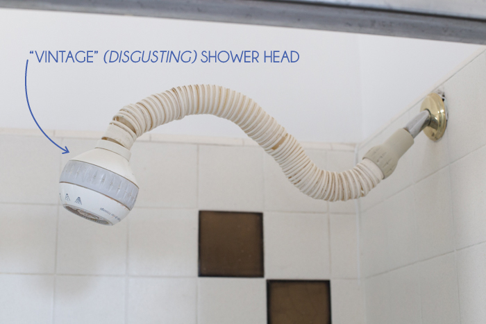 Emily_Henderson_Design_Flaws_Shower_Head_C