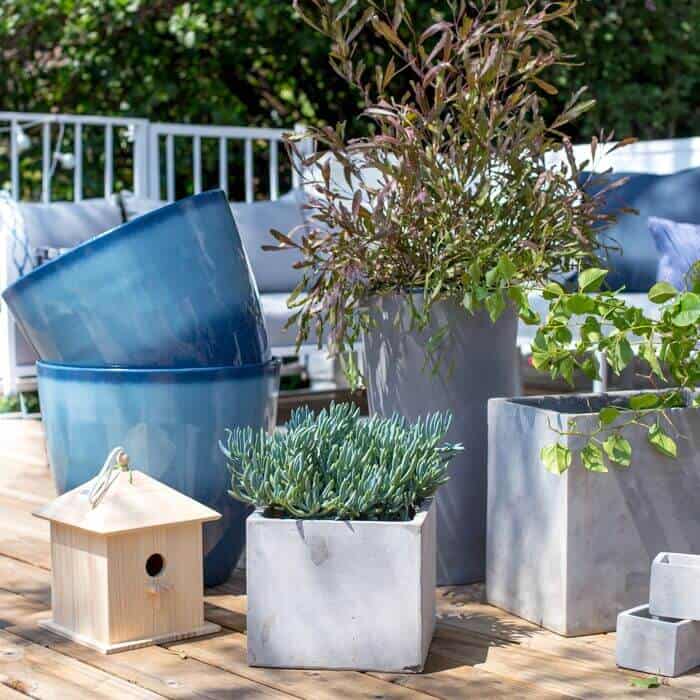 cement planters