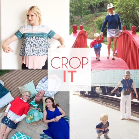 CROP_IT_01