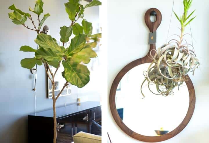 emily_henderson_store_tour_lawson-fenning_west_hollywood_4