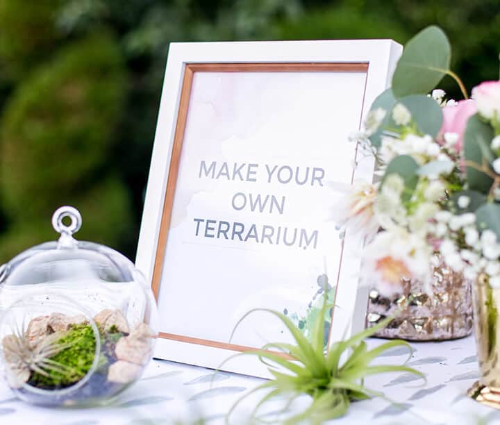 Emily Henderson_Baby Shower_Sprinkle_Target_DIY Terrerium 2