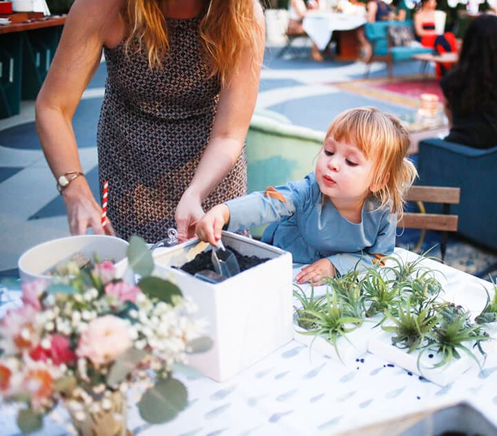 Emily Henderson_Baby Shower_Sprinkle_Target_DIY Terrerium 4