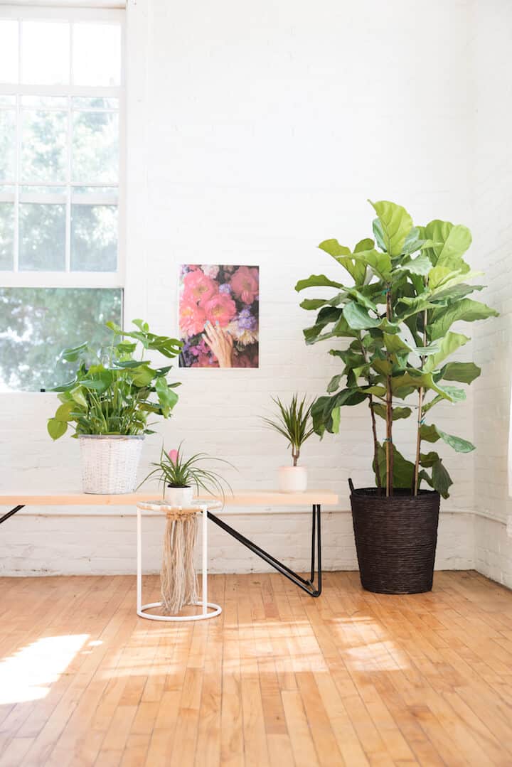 yeah-rental-furniture