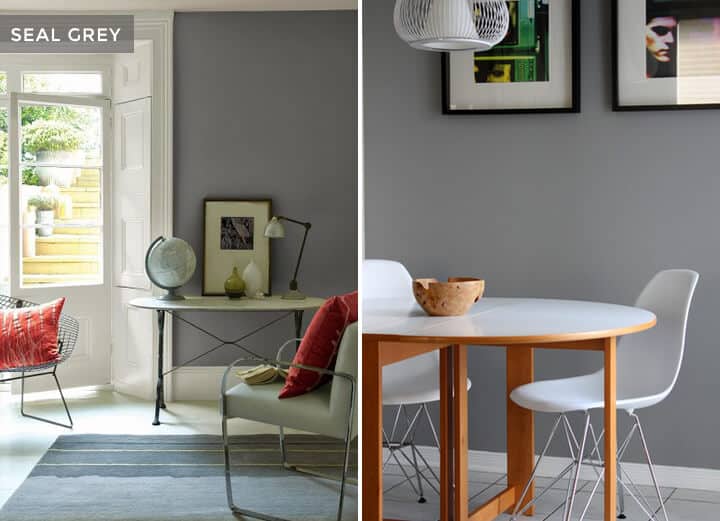 Brady Picks Out A Grey_Best Grey Paints_Seal Grey