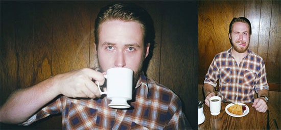 gosling