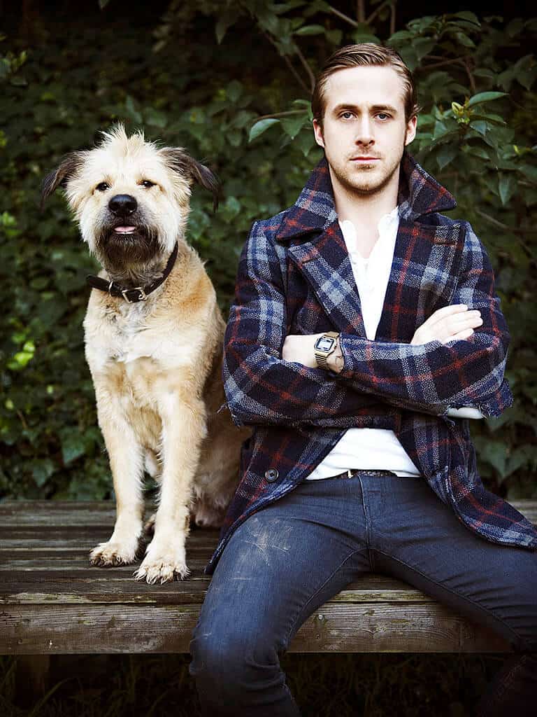 ryan-gosling-dog-george