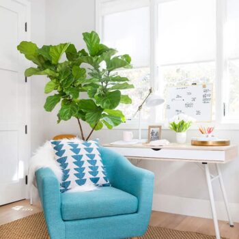 How Do You Do_Me Time_Office_Bright_Happy_Green_White Modern_2