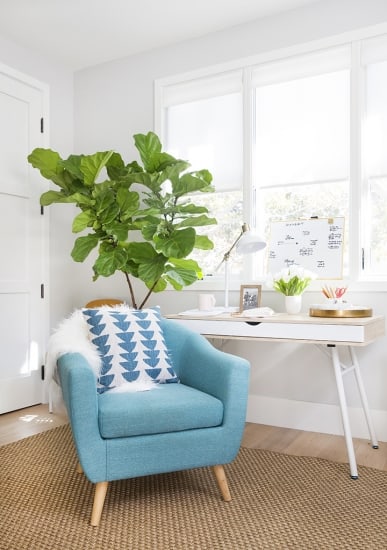 How Do You Do_Me Time_Office_Bright_Happy_Green_White Modern_2