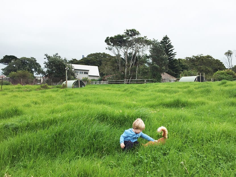 Emily Henderson Kid & Coe Australia16