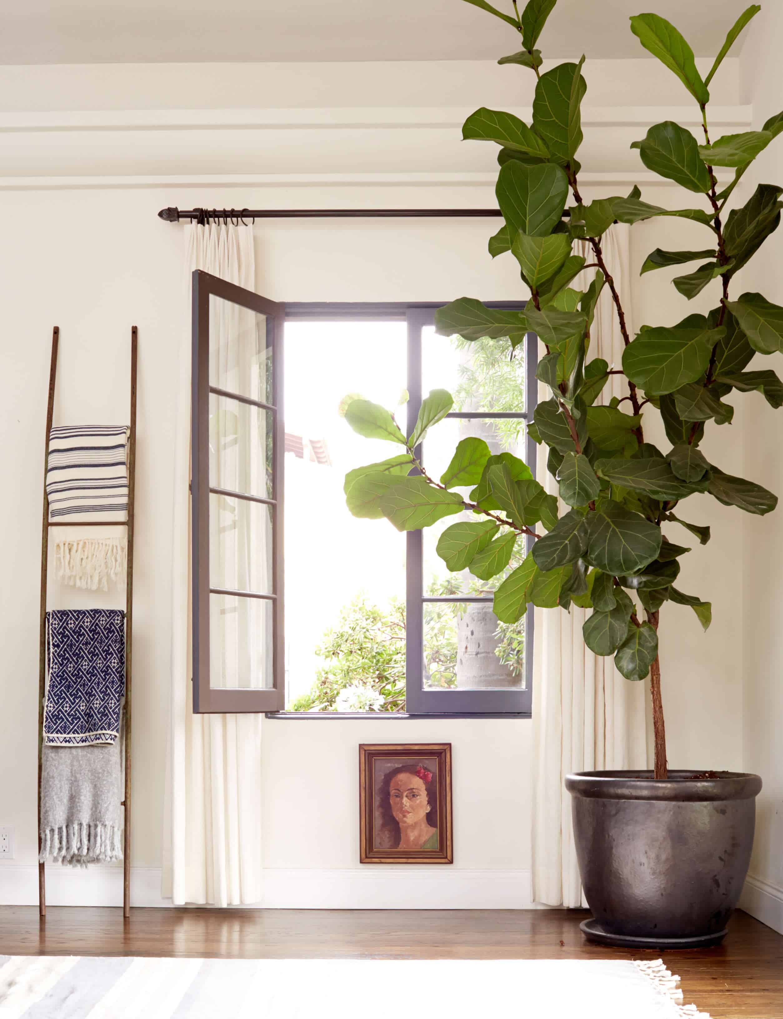 emily-henderson_living-room_blue-white_fiddle-leaf-fig_blanket-ladder_inspiration