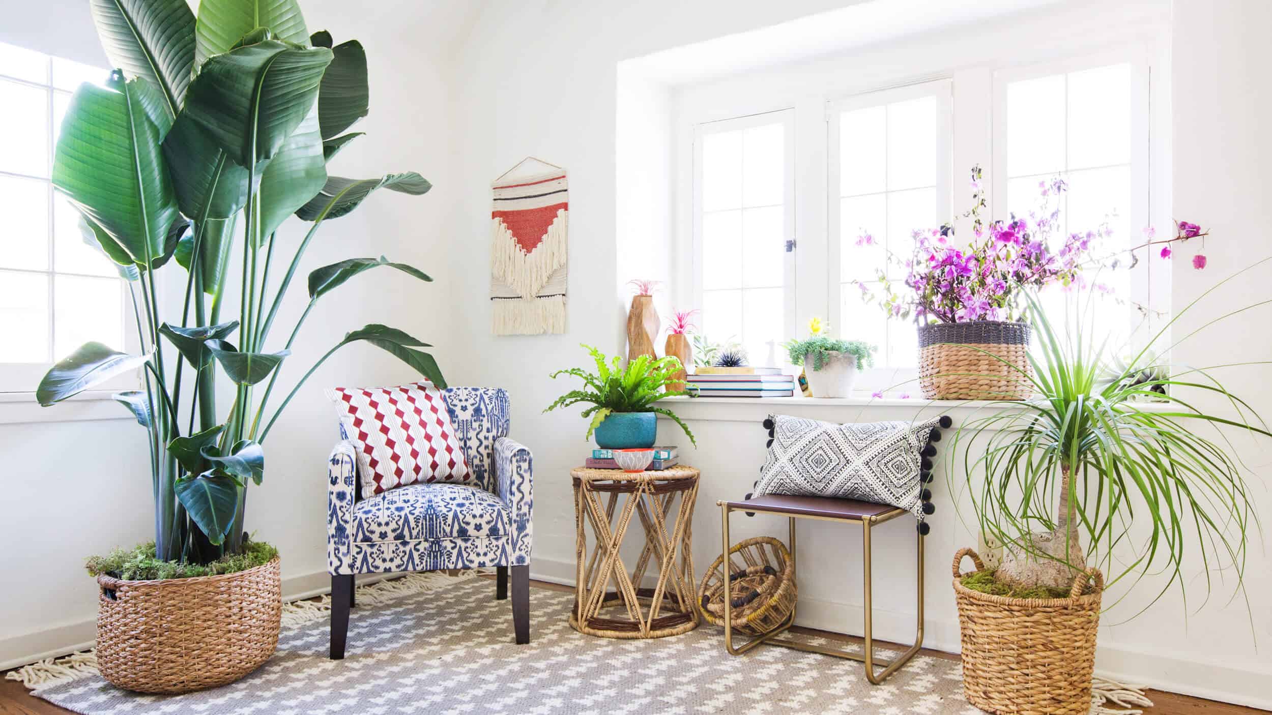 emily-henderson_target_find-your-style_vignette_boho_anthro_eclectic_collected_4