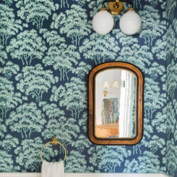 Emily Henderson_Home_Waverly_Sneek Peak_Powder Room