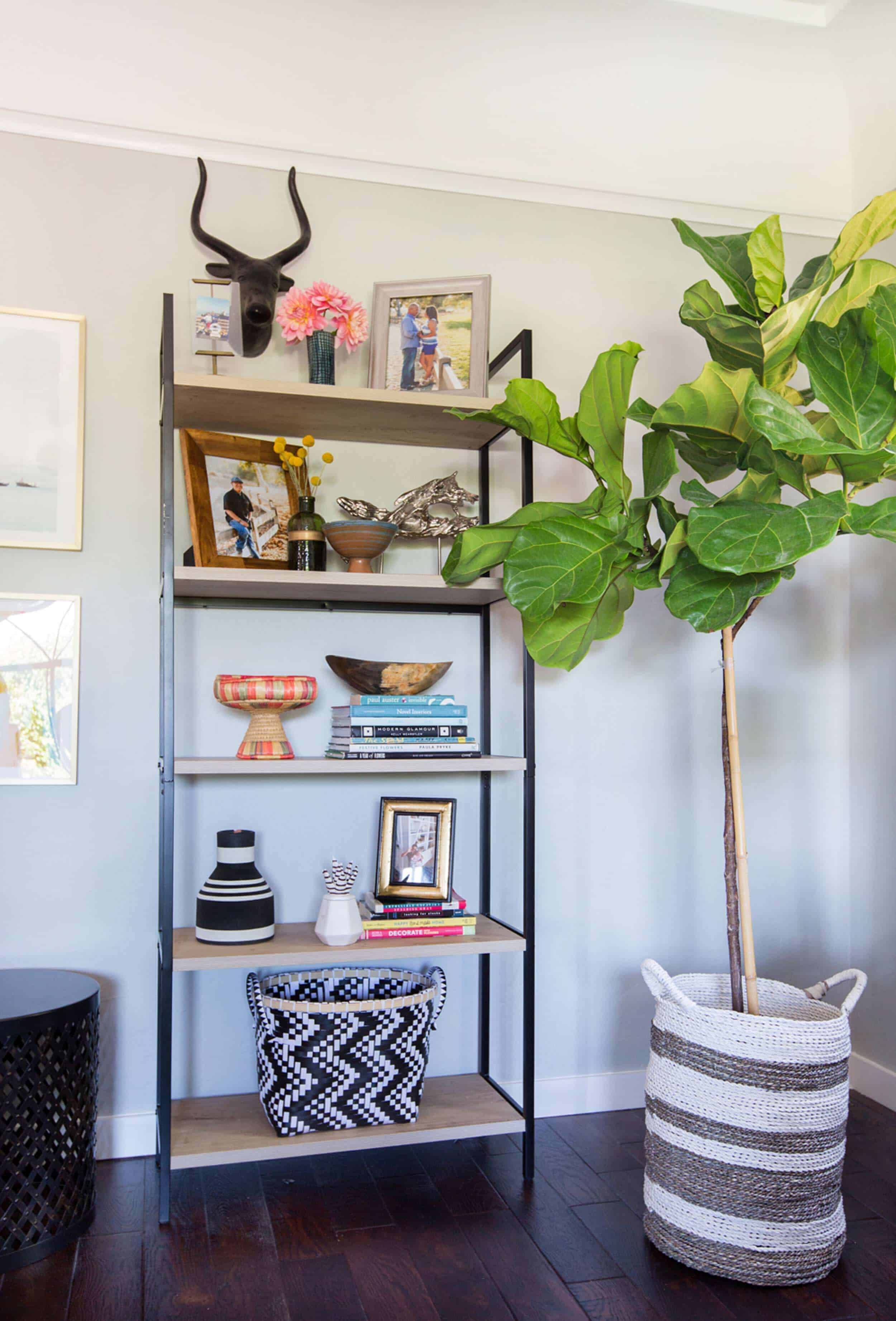 Emily Henderson_Shelves_Tall_WIde_Accent_Organization_Bookcase_3