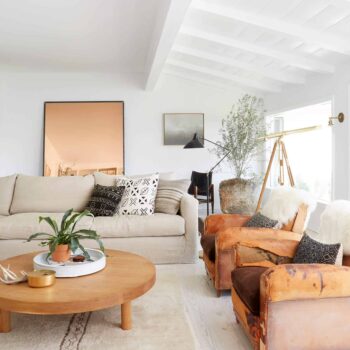 Emily Henderson_House Tour_Tomer_Styled_Book_Modern_Rustic_9