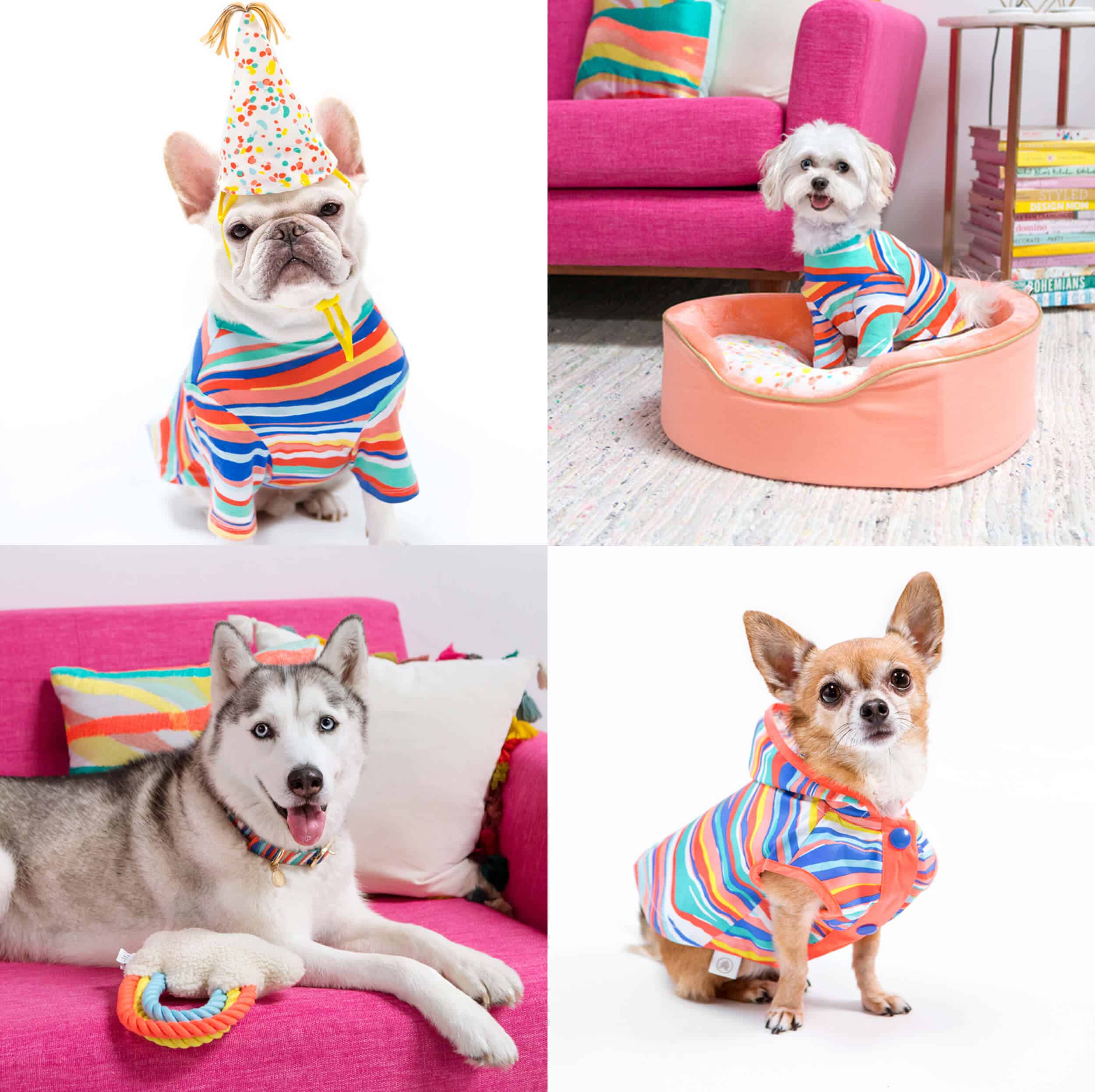 Emily Henderson_My Friend's Products_Oh Joy_Target_Pet Line_Collage