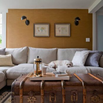 Emily-Henderson_Stain-Resistant_Performance_Velvet_Treated_Slipcover_Microfiber_Sectional_Sofas_Roundup_2