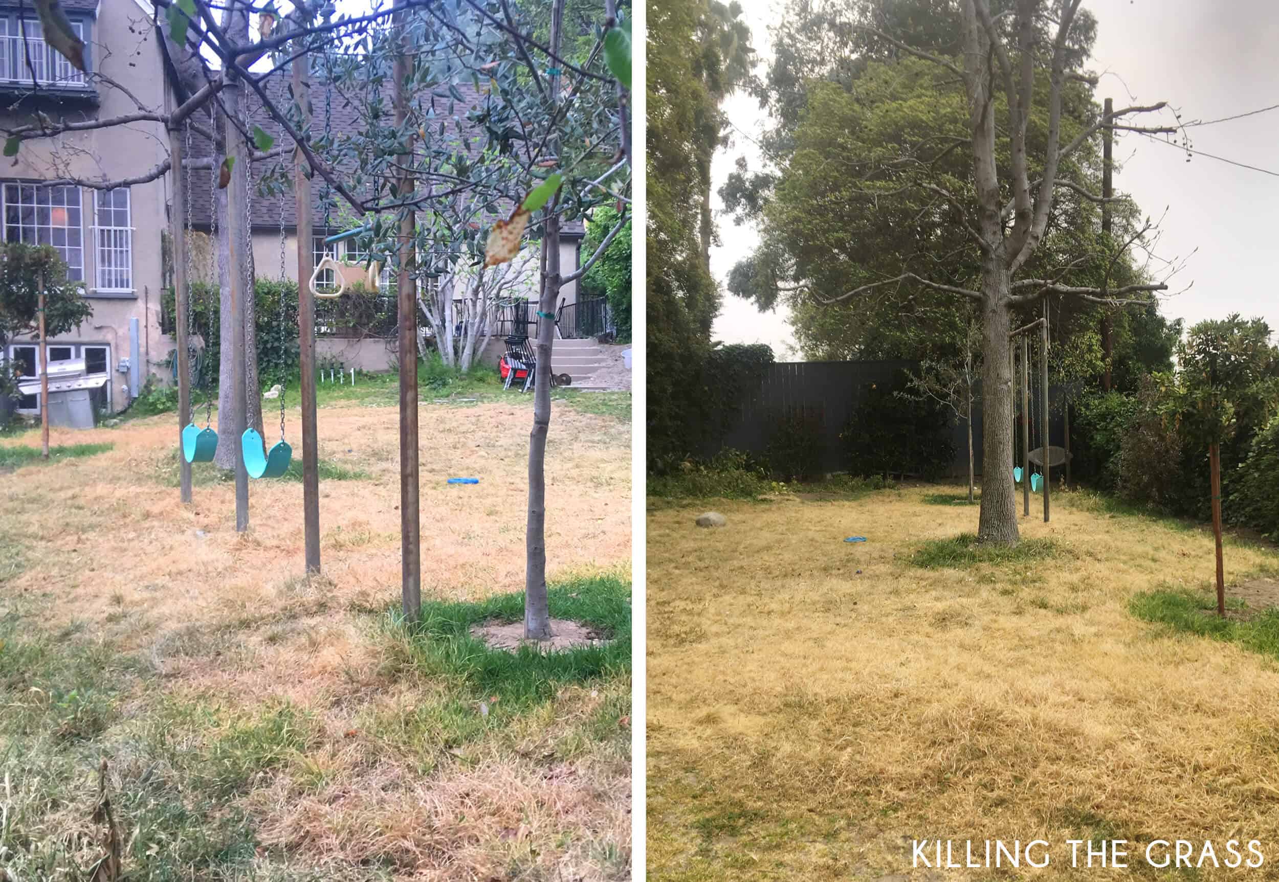 Emily-Henderson_Waverly_Modern-English-Cottage_Backyard_Plan-From-Gardener_Side-by-Side_Killing-the-Grass1