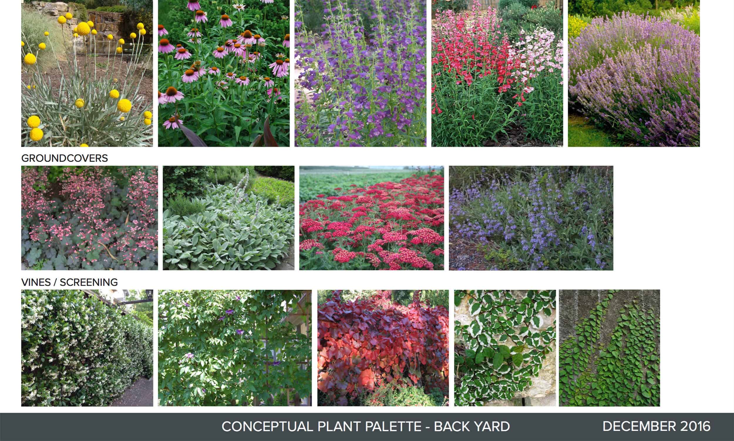 Emily-Henderson_Waverly_Modern-English-Cottage_Backyard_Plan-From-Gardener_Landscape-Plans_4