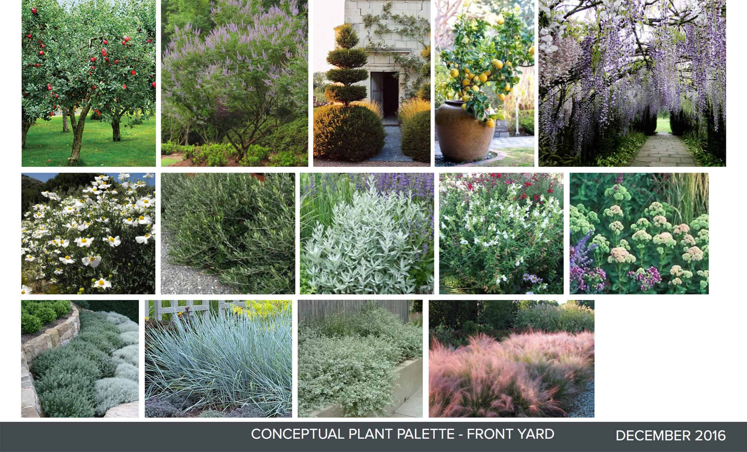Emily-Henderson_Waverly_Modern-English-Cottage_Backyard_Plan-From-Gardener_Landscape-Plans_5