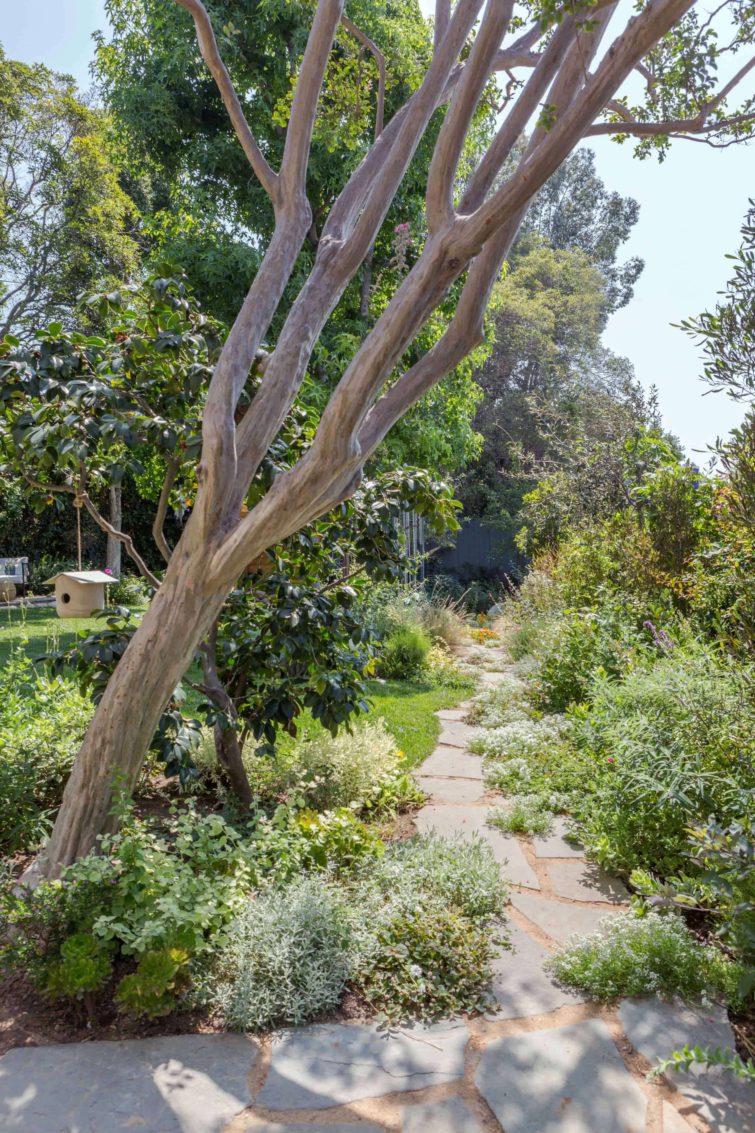 Emily-Henderson-Backyard-1012