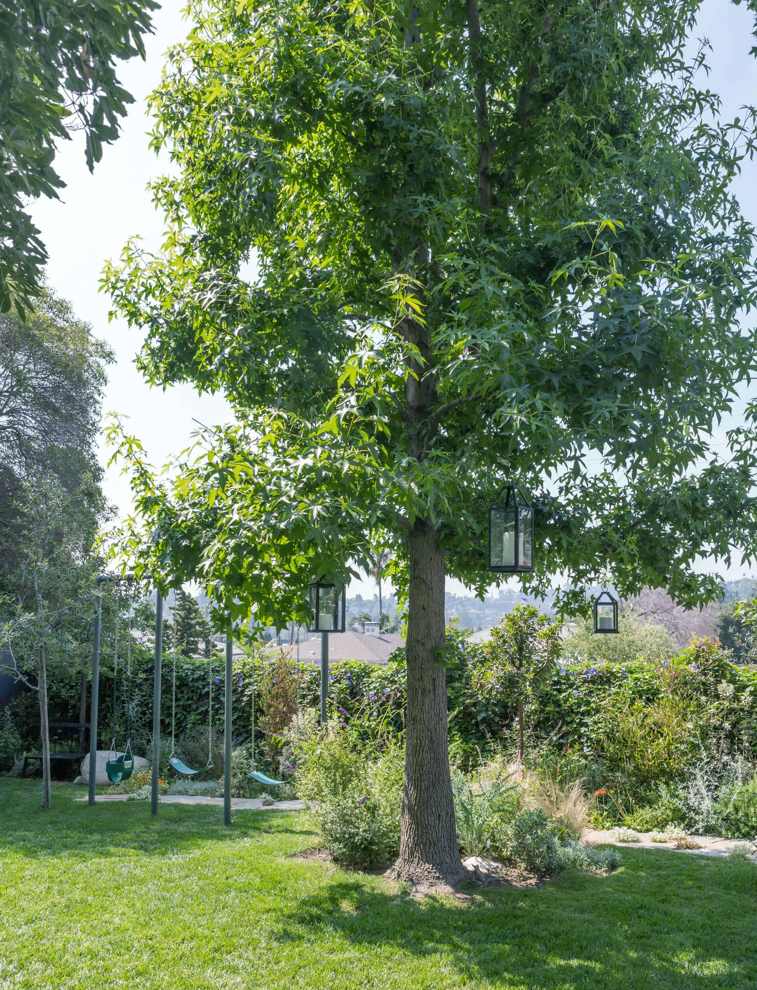 Emily-Henderson-Backyard-392