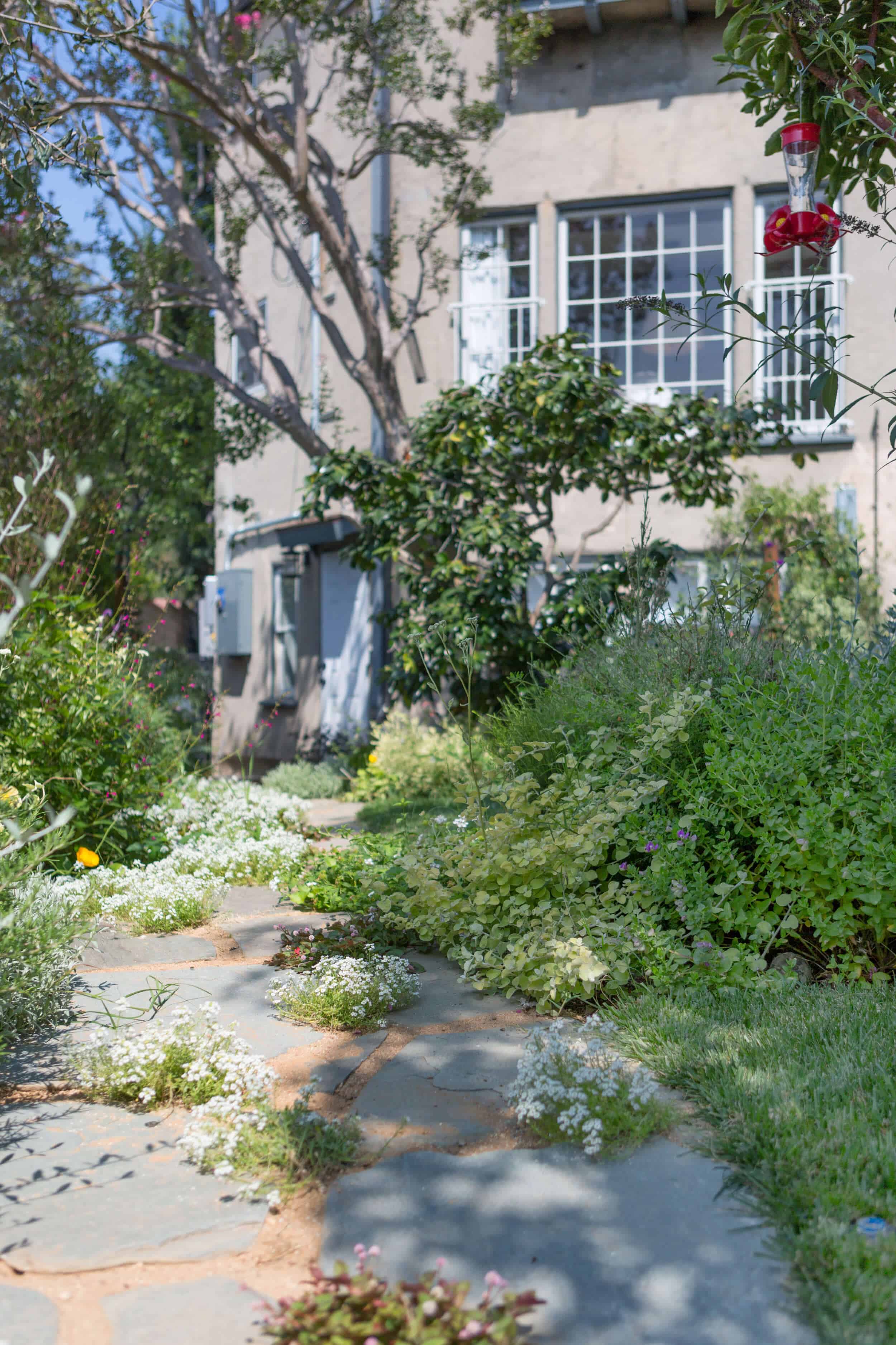 Emily-Henderson-Backyard-481