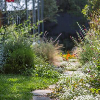 Emily-Henderson-Backyard-571