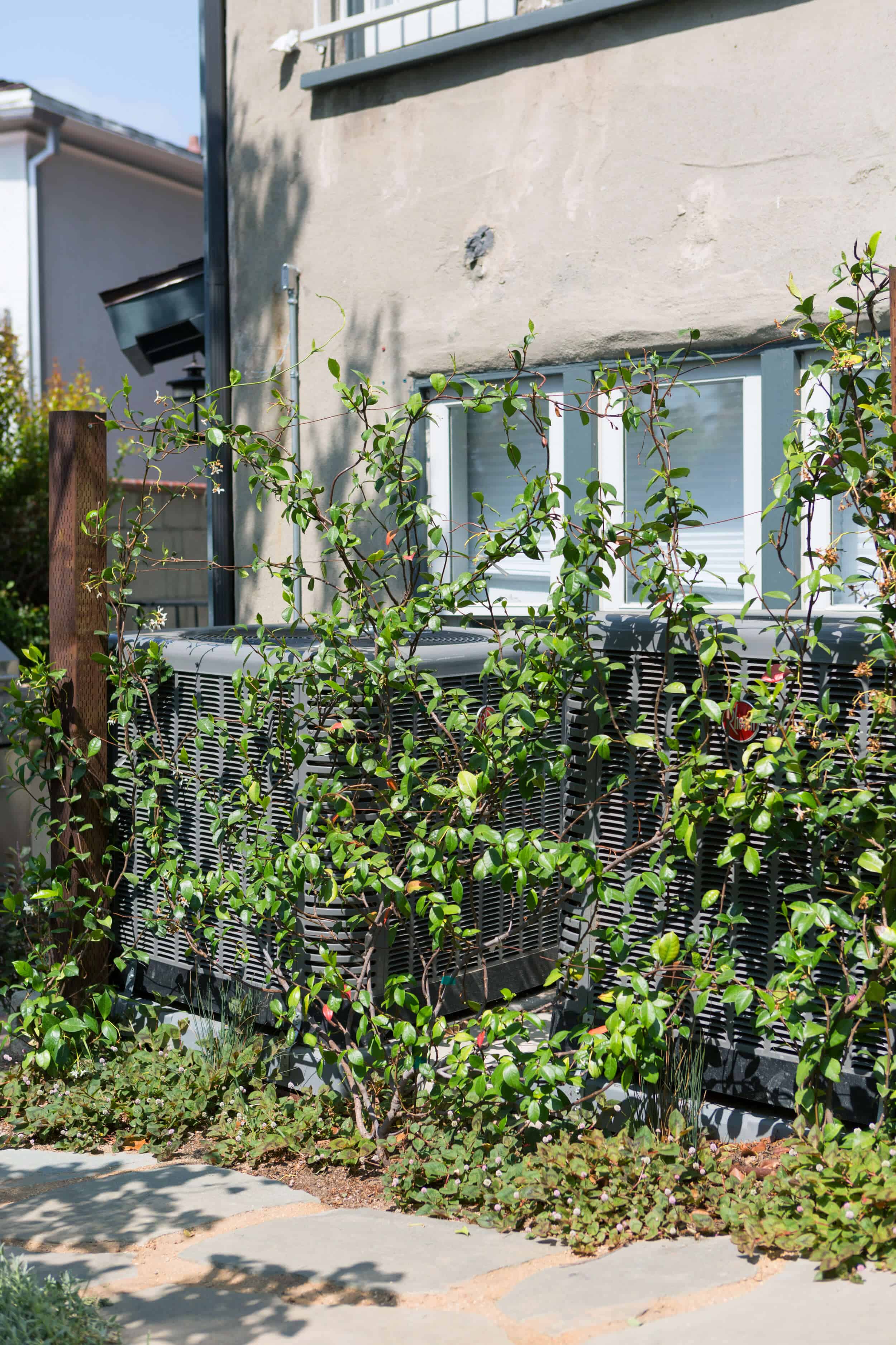 Emily-Henderson-Backyard-601