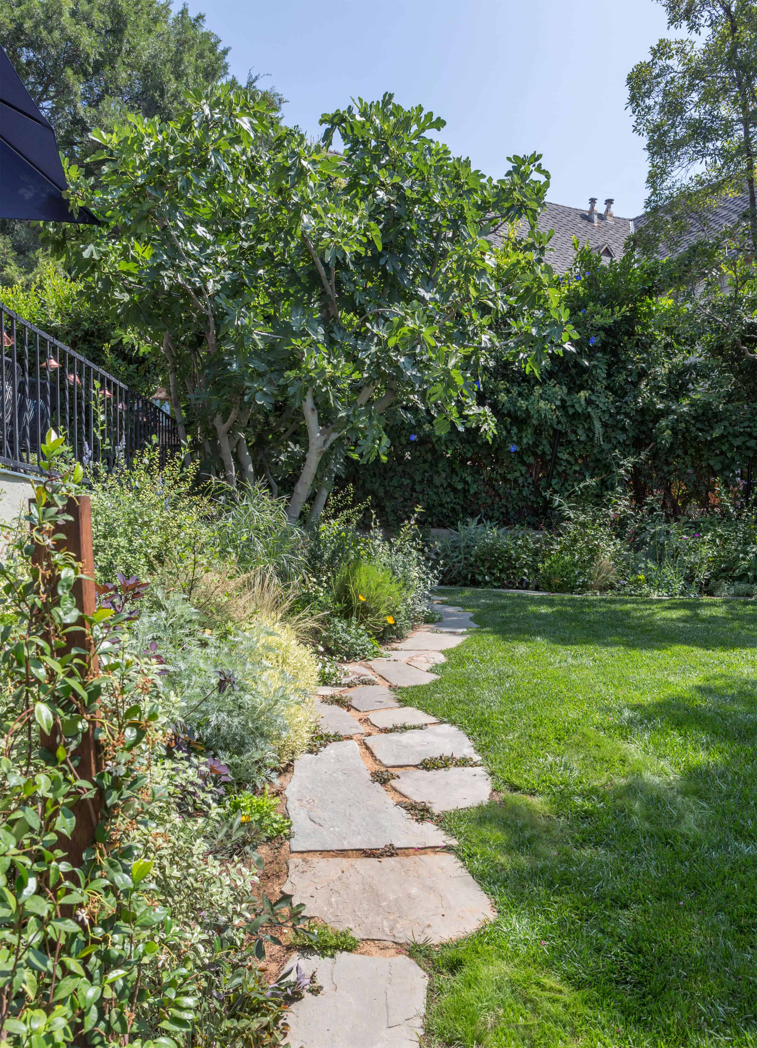 Emily-Henderson-Backyard-641