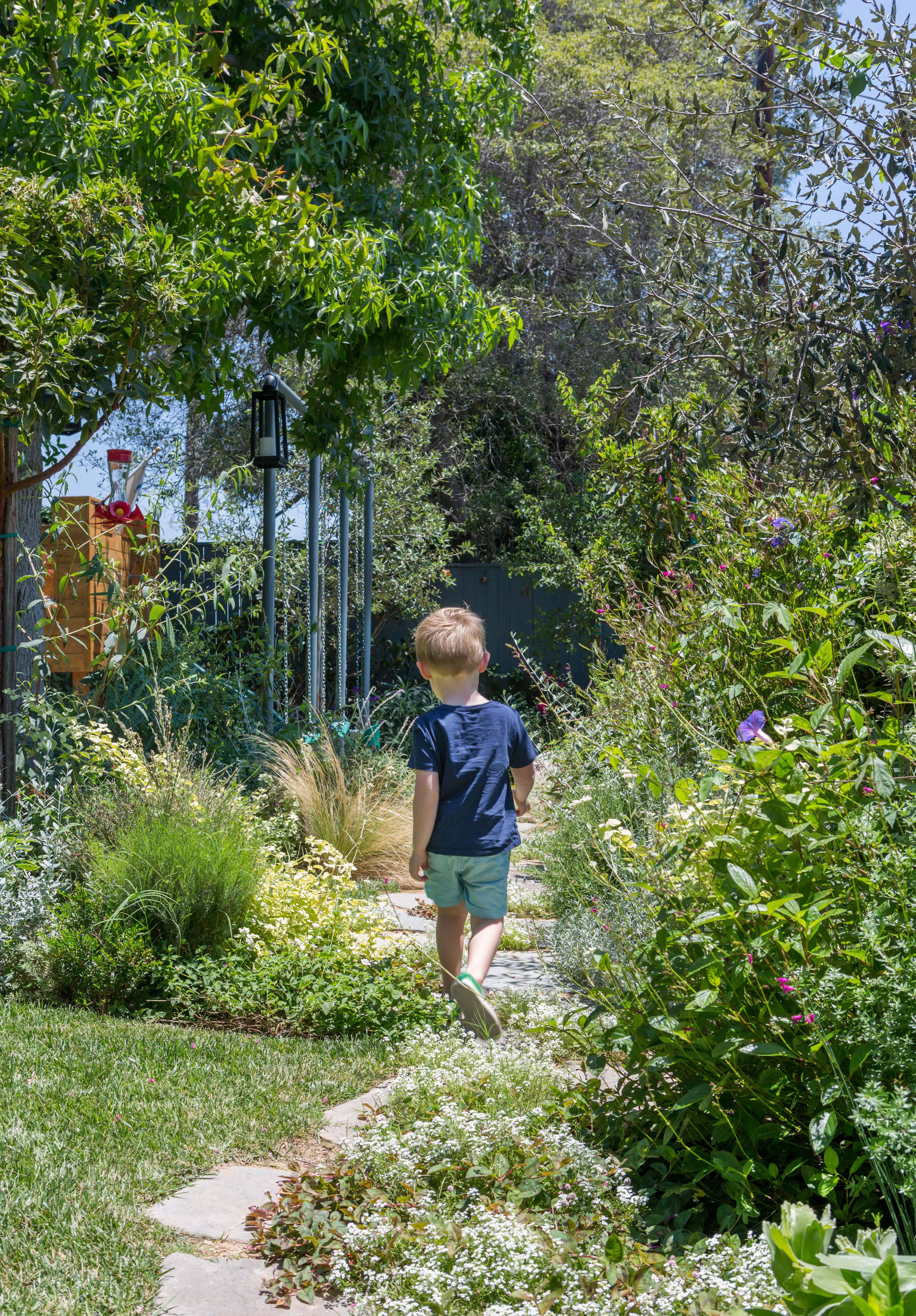 Summer Activities for Kids