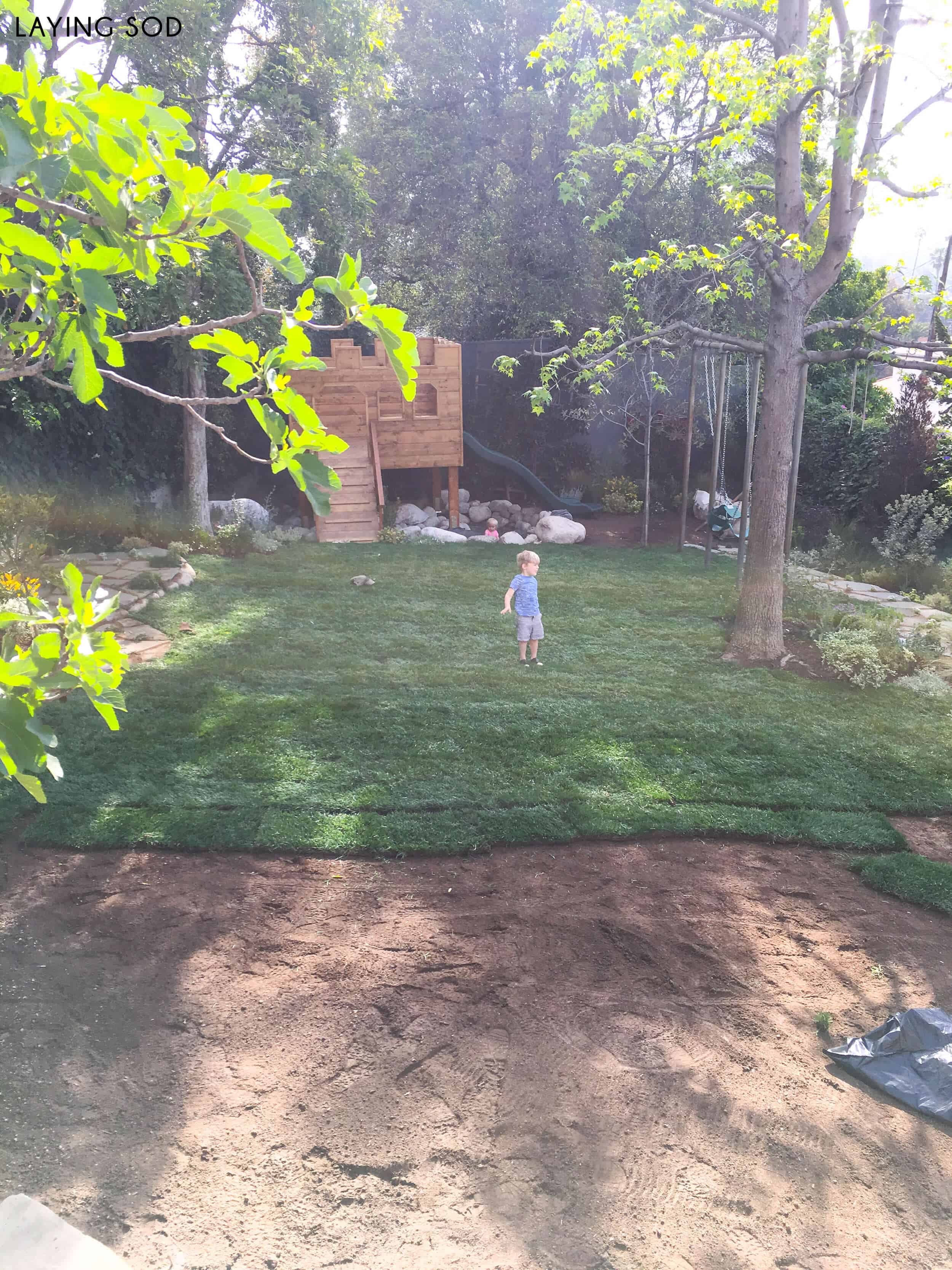 EmilyHenderson_Modern-English-Cottage_Backward-Intro_Laying-Sod