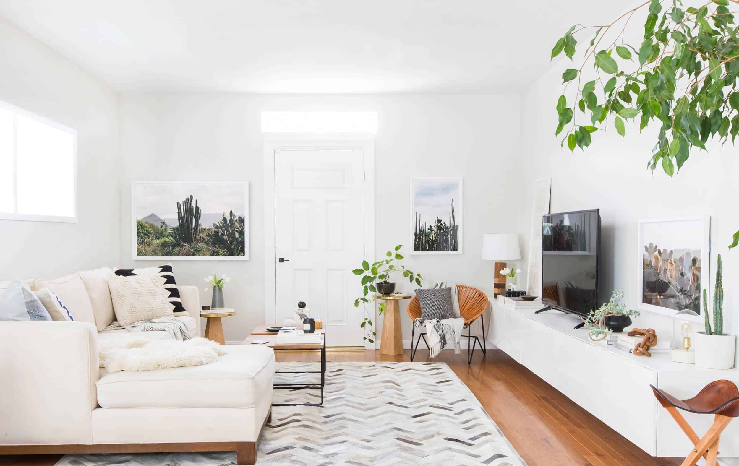 Emily Henderson Citizenry Photo Artwork Tessa Living Room Boho 11